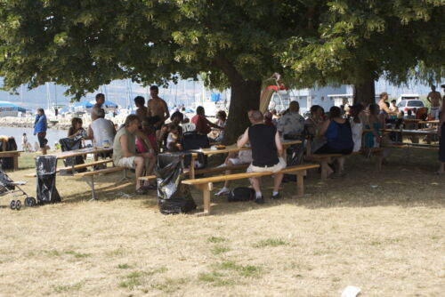 DSC03914 (1)