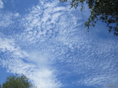 IMG 5819 4488