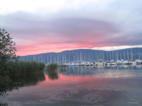 IMG 6084 4569
