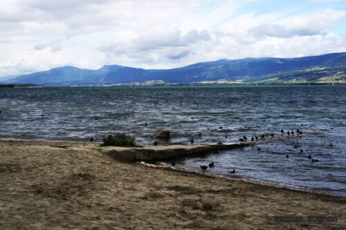 IMG 0452