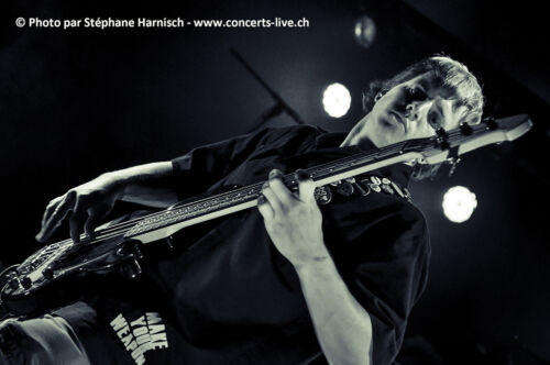 harnisch moneva mai 3