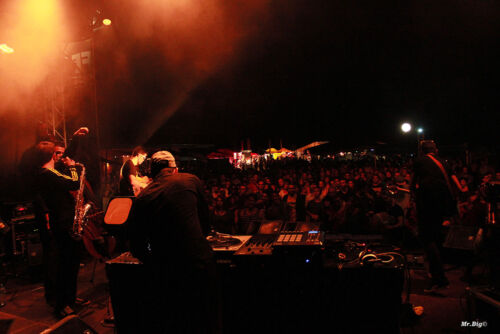 FestiCheyres 2014 034