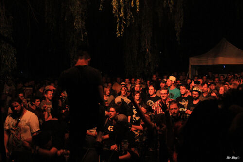 FestiCheyres 2014 040