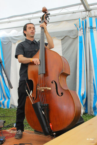 FestiCheyres 2014 094
