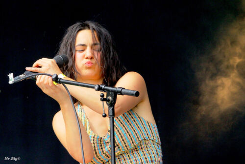 FestiCheyres 2014 138