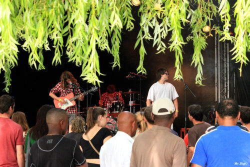 FestiCheyres 2014 153