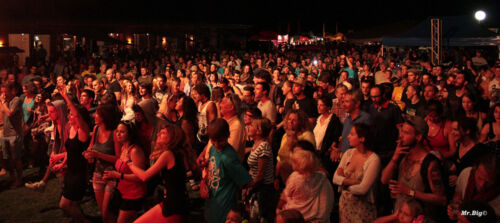 FestiCheyres 2014 198