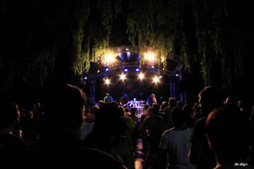 FestiCheyres 2014 229