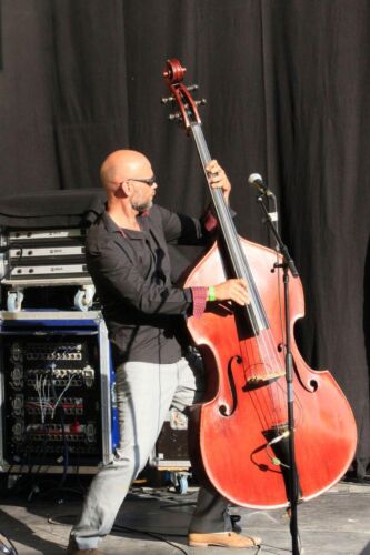festicheyres2015 vendredi 103