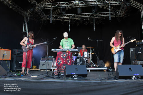the doorknobs 3